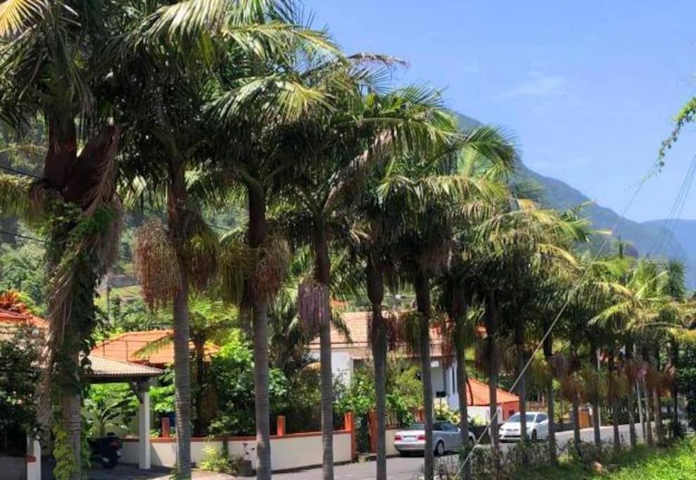 Sea house Apartment Ponta Delgada  Exterior photo
